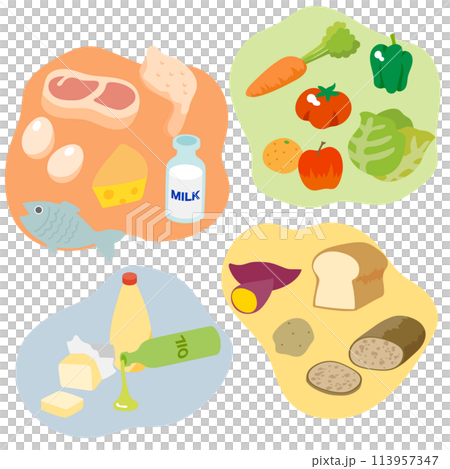 栄養価の高い分類された食品のベクターイラストのセット 113957347