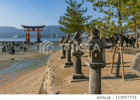 厳島神社に向かう参道の石灯篭と干潮時に大鳥居に向かう観光客 厳島神社に向かう参道の石灯篭と干潮時に大鳥居に向かう観光客 113957778