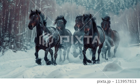 Horses galloping in winter landscape Horses galloping in winter landscape 113957813