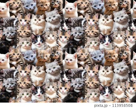 Cat seamless pattern ⑤ A' (PNG) 113958508