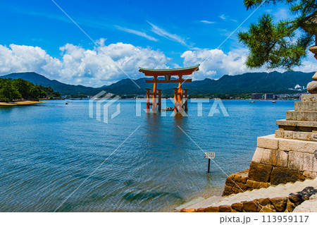 夏空と海に浮かぶ厳島神社の大鳥居 113959117