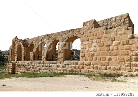 Roman ruins (carved on white background) in the Jordanian city of Jerash (Gerasa of Antiquity), capital and largest city of Jerash Governorate, Jordan 113959285
