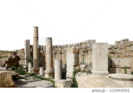 Roman ruins (carved on white background) in the Jordanian city of Jerash (Gerasa of Antiquity), capital and largest city of Jerash Governorate, Jordan 113959302