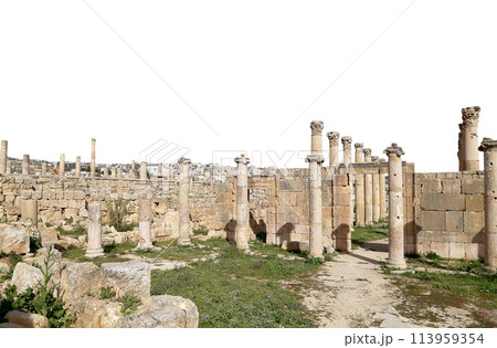 Roman ruins (carved on white background) in the Jordanian city of Jerash (Gerasa of Antiquity), capital and largest city of Jerash Governorate, Jordan 113959354