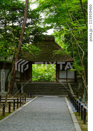 法然院山門 法然院山門 113959460