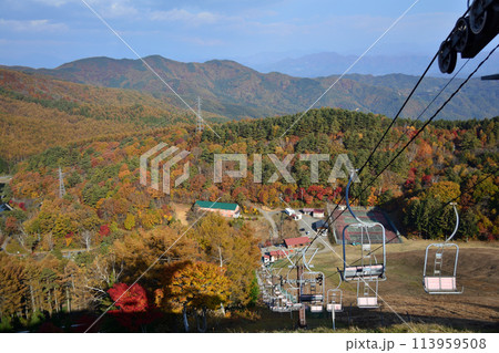 三峰山展望台より聖高原の紅葉 113959508