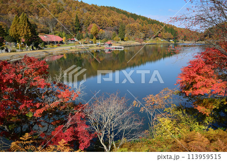 聖湖の紅葉 聖湖の紅葉 113959515