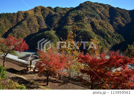 小渋ダム展望台より小渋湖と紅葉 小渋ダム展望台より小渋湖と紅葉 113959561