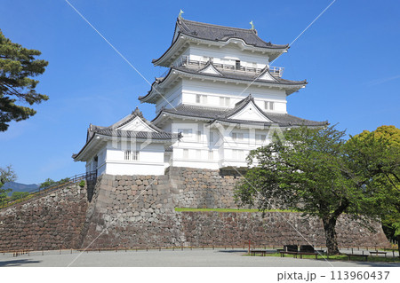 小田原城　天守閣 113960437