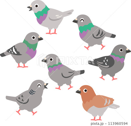 たくさんのハトのデフォルメイラスト 113960594