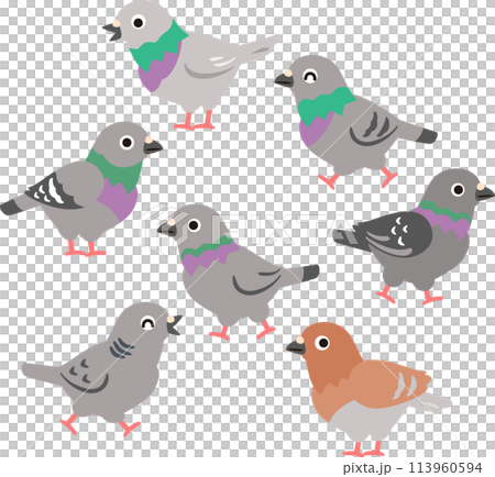 たくさんのハトのデフォルメイラスト 113960594