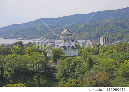 小田原城　天守閣 113960611