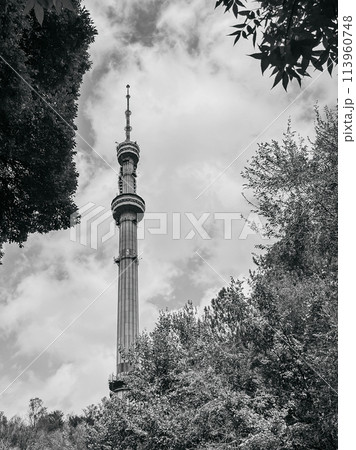A Beautiful Tall Tower Surrounded by Trees and Blue Sky 113960748