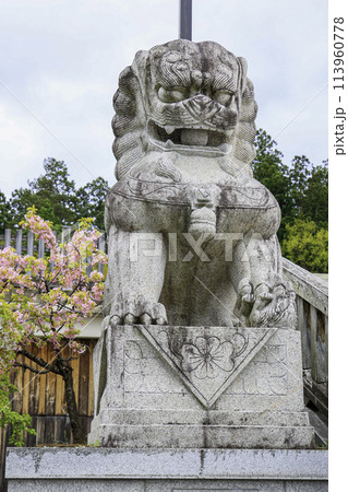 盛岡八幡宮の狛犬 盛岡八幡宮の狛犬 113960778