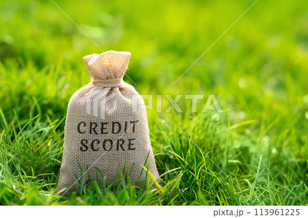 Credit score concept. Numerical representation of an individual's creditworthiness, which is used by lenders to assess the risk of lending money to that person. Money bag on a grass Credit score concept. Numerical representation of an individual's creditworthiness, which is used by lenders to assess the risk of lending money to that person. Money bag on a grass 113961225