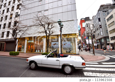 銀座並木通りのお洒落なショップ 113961508