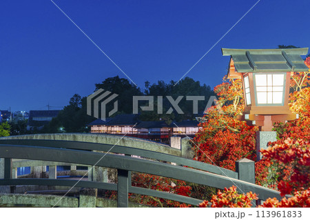 京都　長岡天満宮　銀水亭と霧島つつじ　夜景 113961833