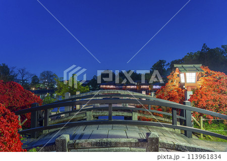 京都 長岡天満宮 銀水亭と霧島つつじ 夜景 京都 長岡天満宮 銀水亭と霧島つつじ 夜景 113961834