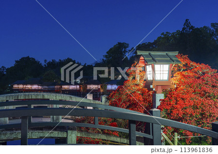 京都 長岡天満宮 銀水亭と霧島つつじ 夜景 京都 長岡天満宮 銀水亭と霧島つつじ 夜景 113961836