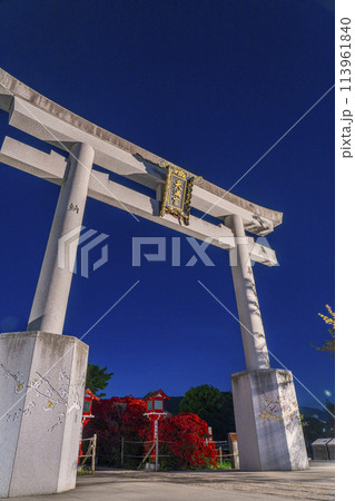 京都　長岡天満宮　霧島つつじと正面大鳥居　夜景 113961840
