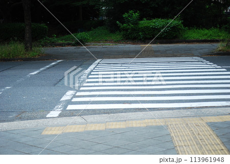 信号のない横断歩道 113961948