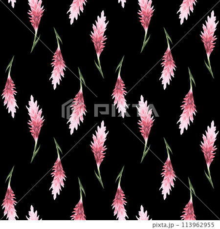 Hand drawn watercolor pattern flowers. Ginger flowers. tropical theme. For fabric, wrap paper, wallpaper, textile. Hand drawn watercolor pattern flowers. Ginger flowers. tropical theme. For fabric, wrap paper, wallpaper, textile. 113962955