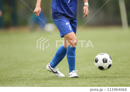 サッカーボールをドリブルする選手 サッカーボールをドリブルする選手 113964068