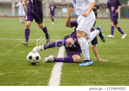 サッカーの試合でスライディングする選手 サッカーの試合でスライディングする選手 113964083