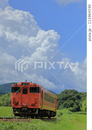 夏雲の元、たらこ色のキハ40気動車 単行 夏雲の元、たらこ色のキハ40気動車 単行 113964590