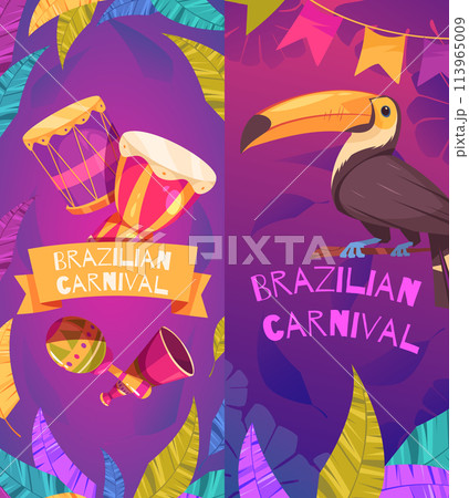 Hand drawn flat cartoon brazilian carnival vertical banner template set with a toucan and musical instrument 113965009