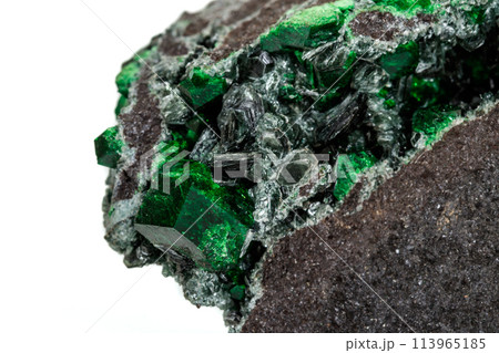 Macro stone garnet mineral, Uvarovite in rock on a white background 113965185