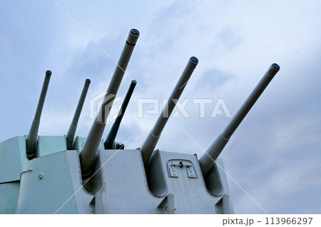 Canon 113966297