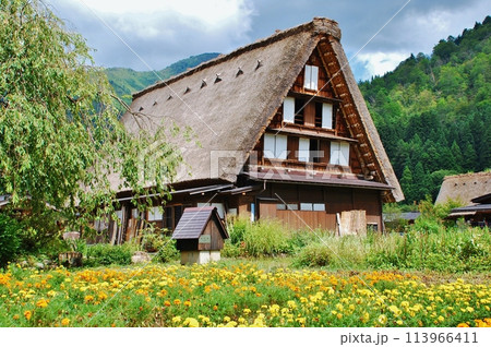 世界遺産 白川郷合掌造り集落 世界遺産 白川郷合掌造り集落 113966411