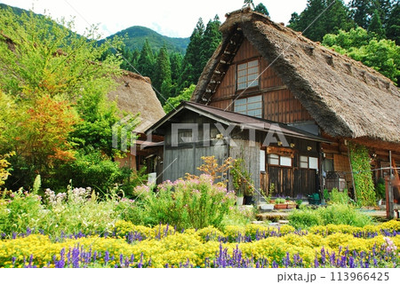 世界遺産 白川郷合掌造り集落 世界遺産 白川郷合掌造り集落 113966425