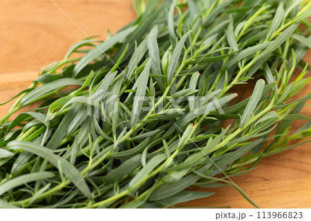 フレンチタラゴン 113966823