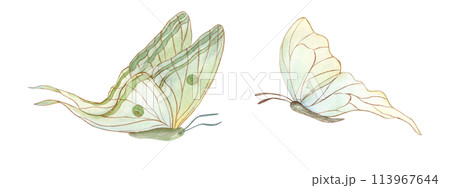 Cute white green butterflies. Two abstract watercolor flying tropical insects. Morpho butterfly. Hand drawn illustration. Decorative elements for art deco design, postcards, prints 113967644