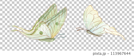 Cute white green butterflies. Two abstract watercolor flying tropical insects. Morpho butterfly. Hand drawn illustration. Decorative elements for art deco design, postcards, prints 113967644