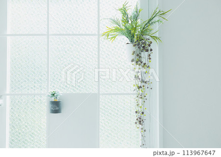 観葉植物がある窓辺　 113967647
