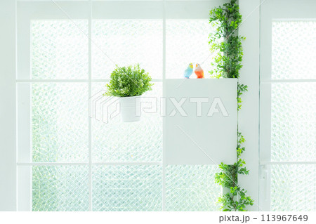 観葉植物がある窓辺　 113967649