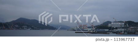 霧煙る女神大橋の風景 113967737