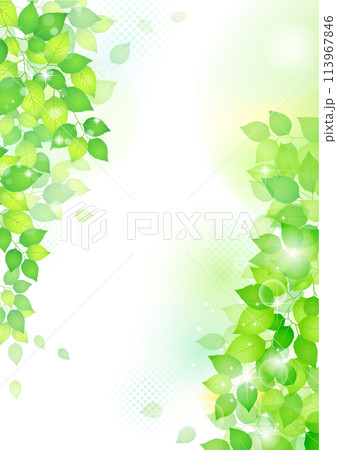 爽やかな新緑フレーム 背景のイラスト素材 [113967846] - PIXTA