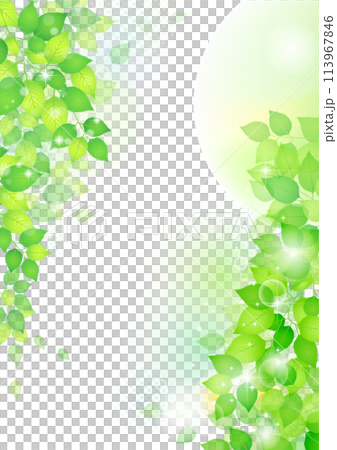 清爽清新的綠框背景 清爽清新的綠框背景 113967846