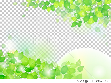 清爽清新的綠框背景 113967847