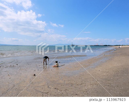 熊本県玉名市　鍋松原海水浴場で遊ぶ親子 113967923