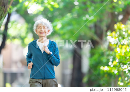 新緑　ランニング　シニア　女性 113968045