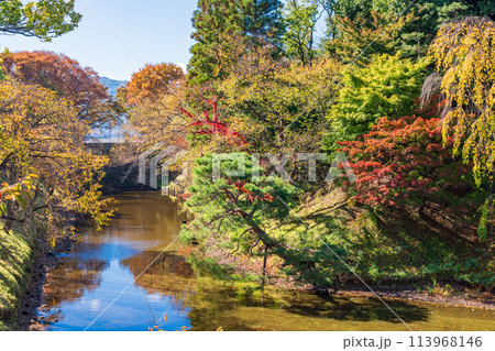 《長野県》上田城址公園 城内の紅葉 《長野県》上田城址公園 城内の紅葉 113968146