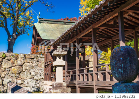 《長野県》秋の上田城址 紅葉 《長野県》秋の上田城址 紅葉 113968232