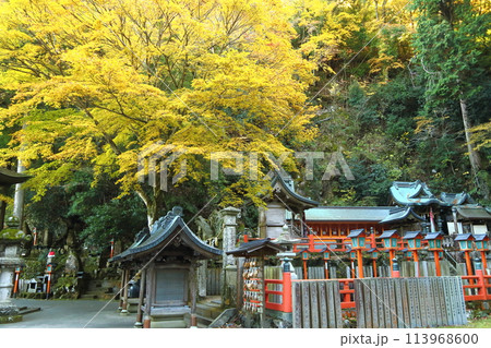 紅葉の本瀧寺 113968600