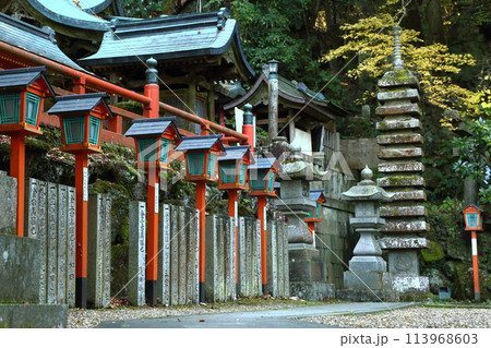 紅葉の本瀧寺 113968603