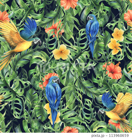 Tropical palm leaves, monstera and flowers of plumeria, hibiscus, bright juicy with blue-yellow macaw parrot. Hand drawn watercolor botanical illustration. Seamless pattern on the dark background. Tropical palm leaves, monstera and flowers of plumeria, hibiscus, bright juicy with blue-yellow macaw parrot. Hand drawn watercolor botanical illustration. Seamless pattern on the dark background. 113968659